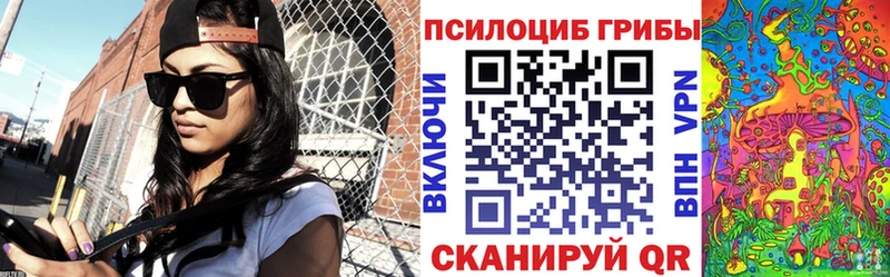 Псилоцибиновые грибы Psilocybine cubensis  наркотики  Лесосибирск 